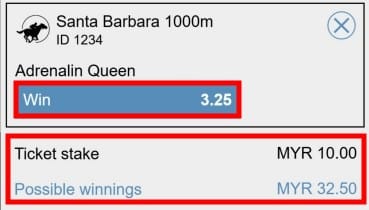 horse race betting odds example 2