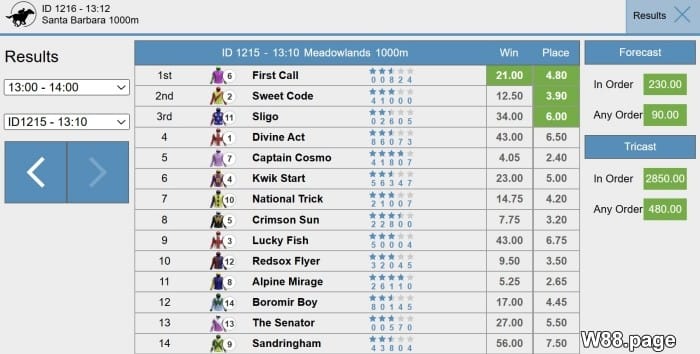horse race betting odds explained with betting strategies