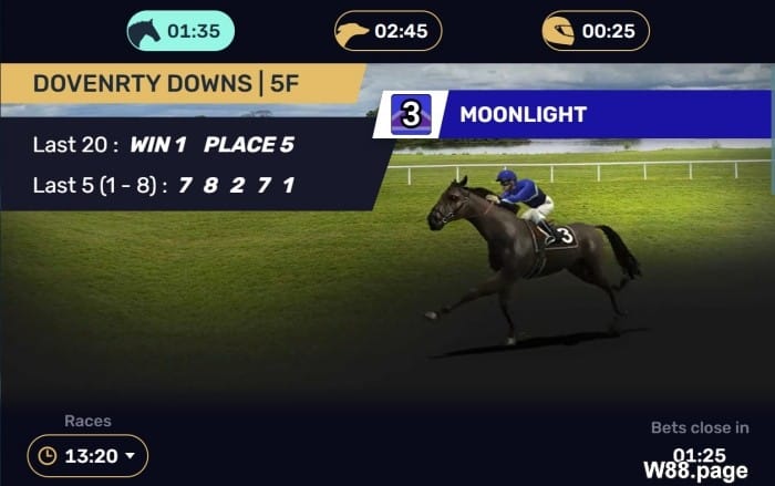 horse race betting odds learn how it works in virtual sports