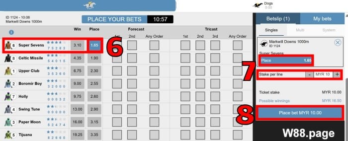 horse race betting online place a bet on your favourite