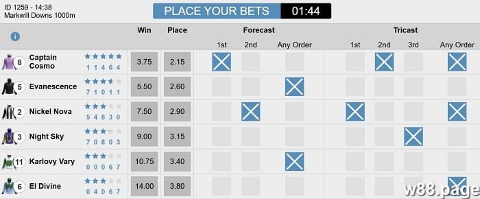 horse race betting strategies by experts