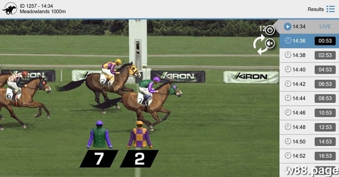 horse race betting strategies for beginners