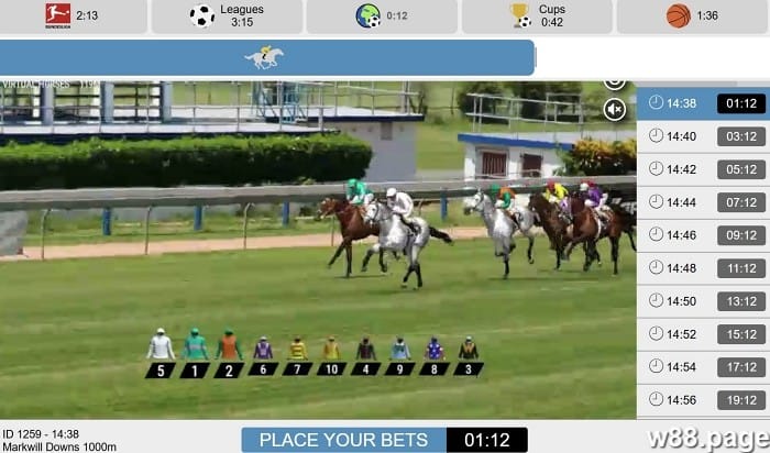 horse race betting strategies tips and tricks