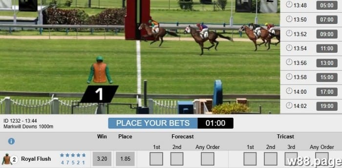 how does horse race betting work explained