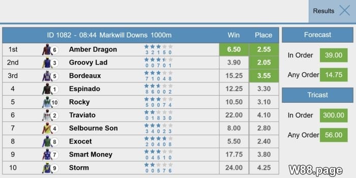how to win horse race bets 8 tactics by w88.page