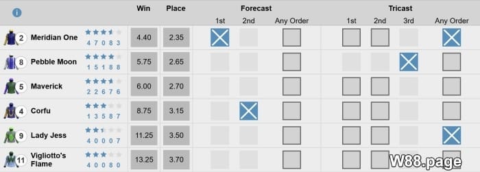 how to win horse race bets tips and tricks