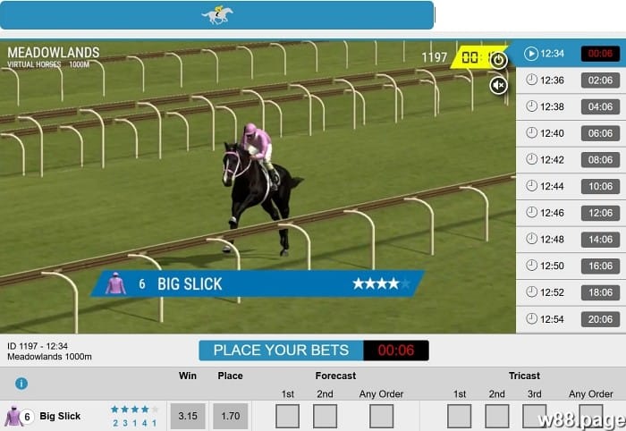 best horse race betting sites w88