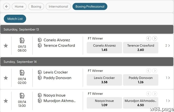 boxing betting tips strategies by experts