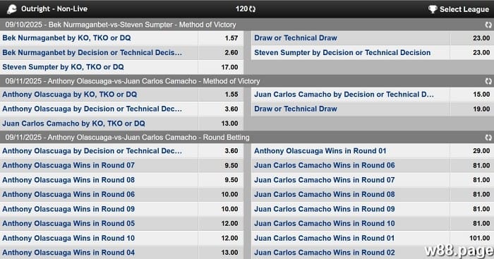 boxing betting strategy by experts