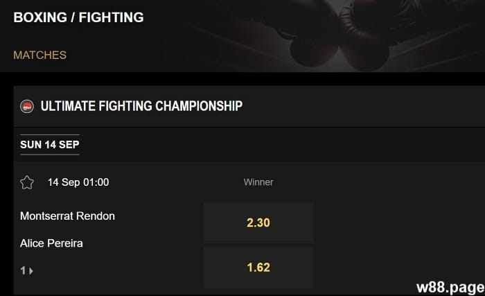 boxing betting strategy for huge profits