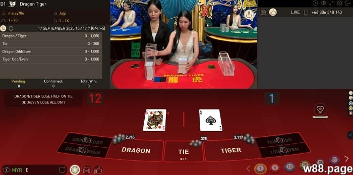 dragon tiger hacks to earn huge payouts