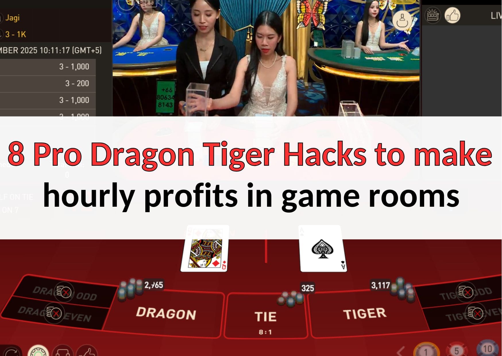 dragon tiger hacks
