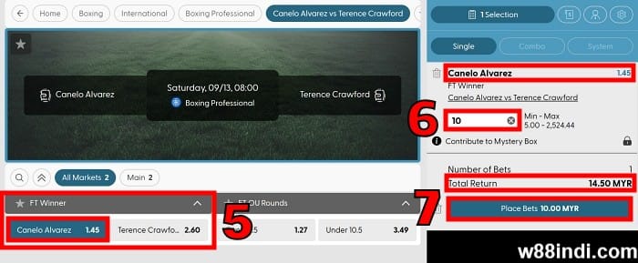 how to bet on boxing online step 3 place a wager
