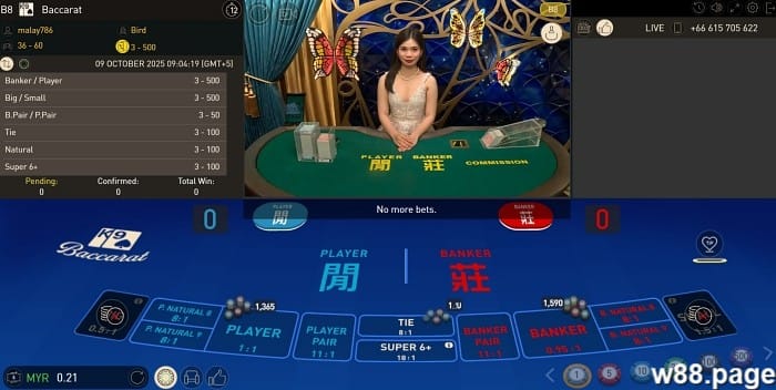 casino terms explained for beginners