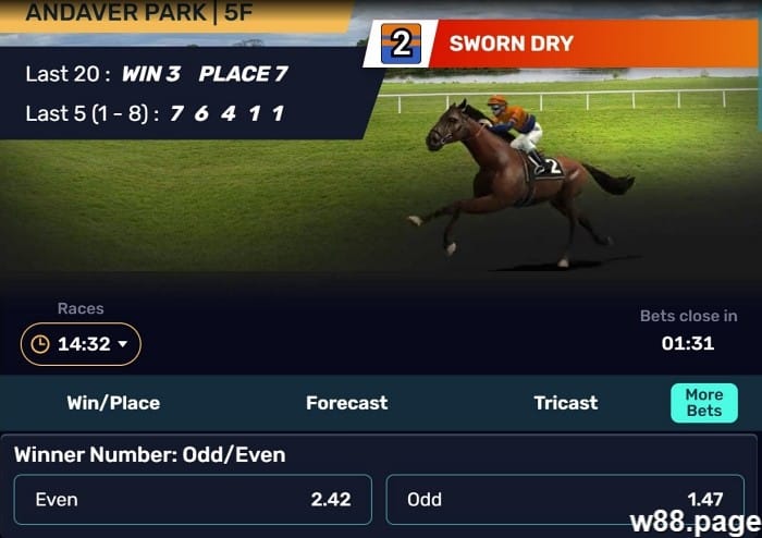 12 Horse Racing Betting Terms explained