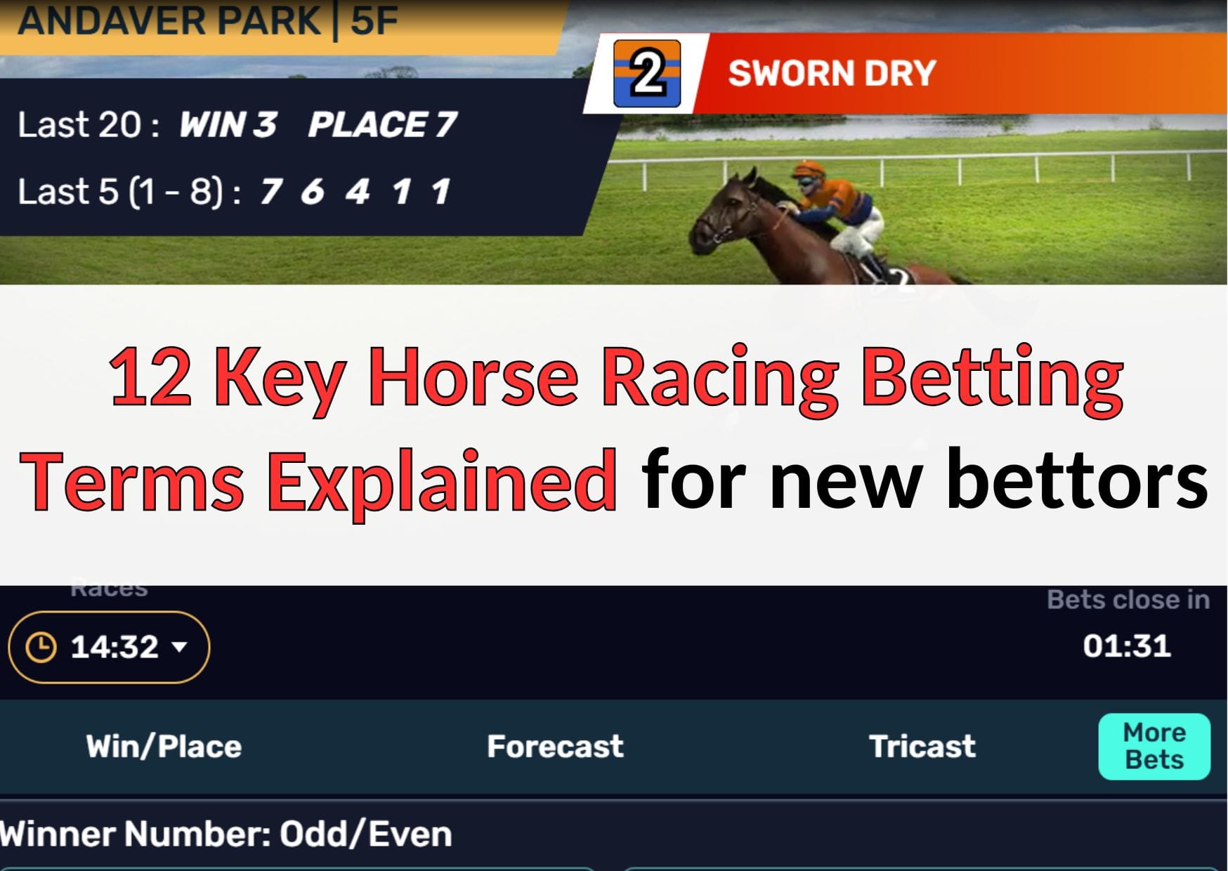 12 horse race betting terms explained for sports betting