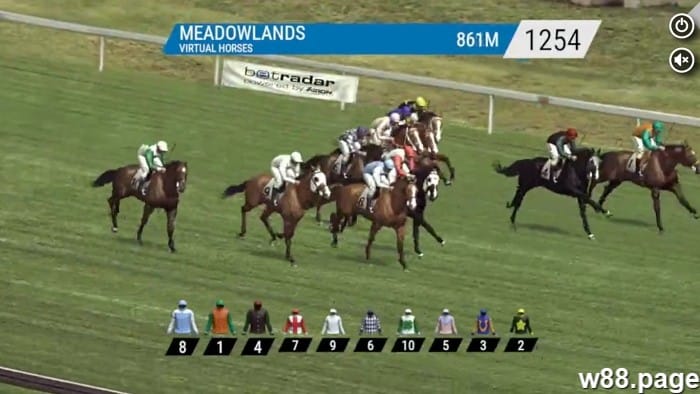 Horse Racing Betting Terms explained by experts