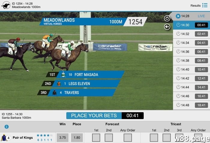 Horse Racing Betting Terms explained by w88.page experts
