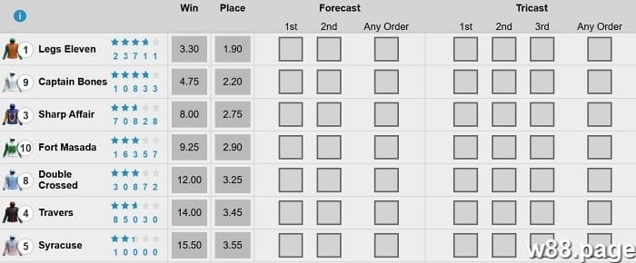 Horse Racing Betting Terms explained for beginners