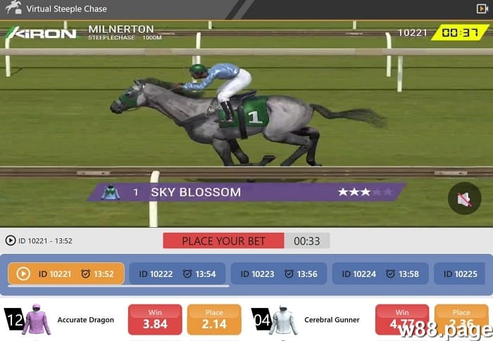 horse race betting formula by tricks