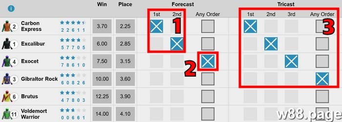horse race betting options explained advanced level