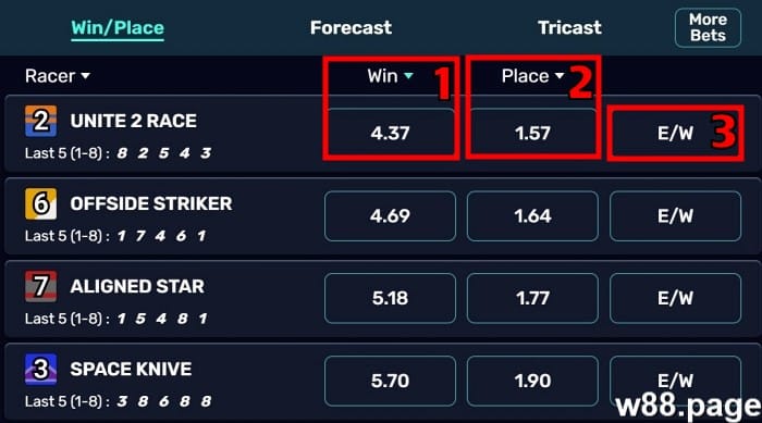 horse race betting options explained beginner level