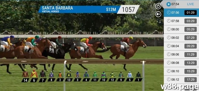 horse race betting options explained for beginners