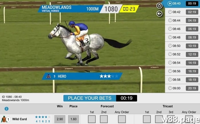 horse race betting rules explained by experts