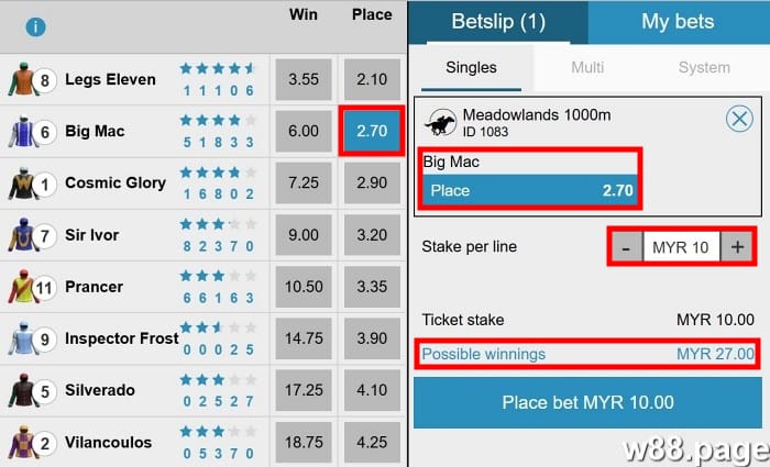 horse race betting rules explained odds and payouts