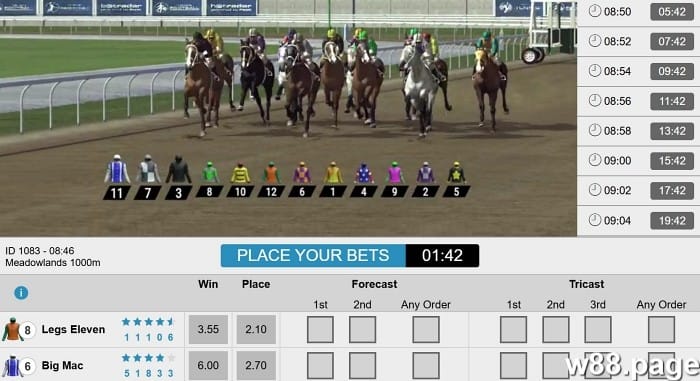 horse race betting rules explained with bet types