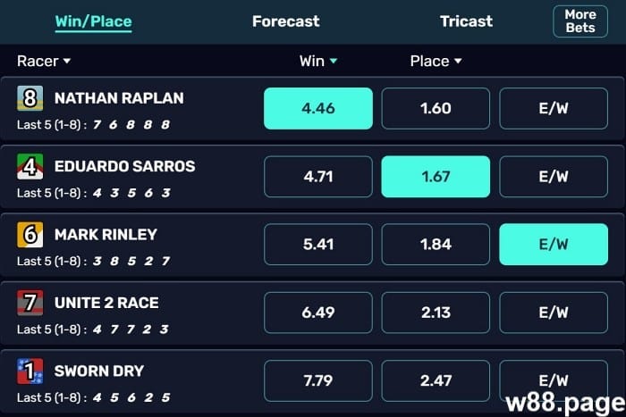 horse race betting systems for beginners