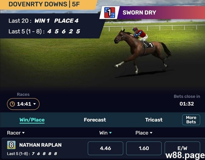 horse race betting systems to earn