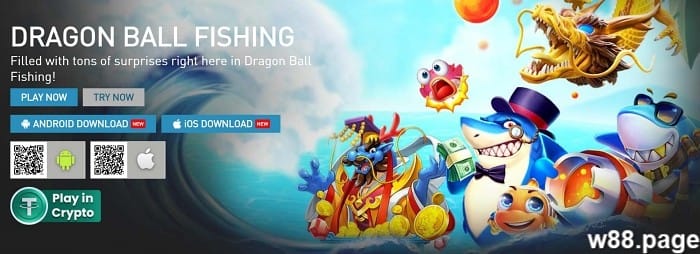 dragon ball fishing guide for beginners