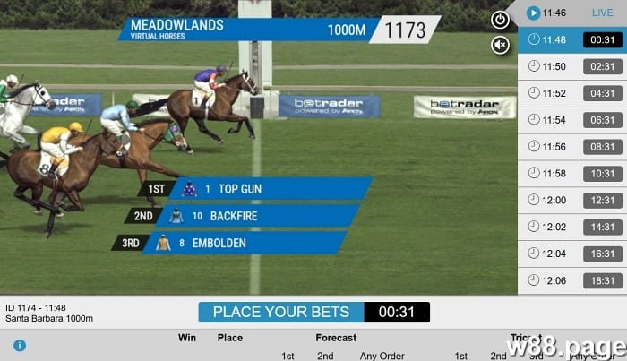 horse race betting payouts explained