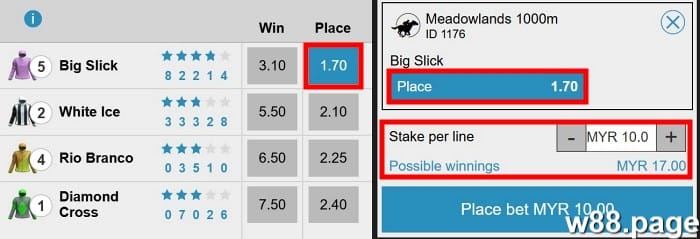 horse race betting payouts odds x stake explained