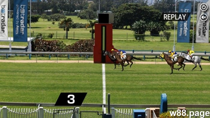 horse race betting payouts returns