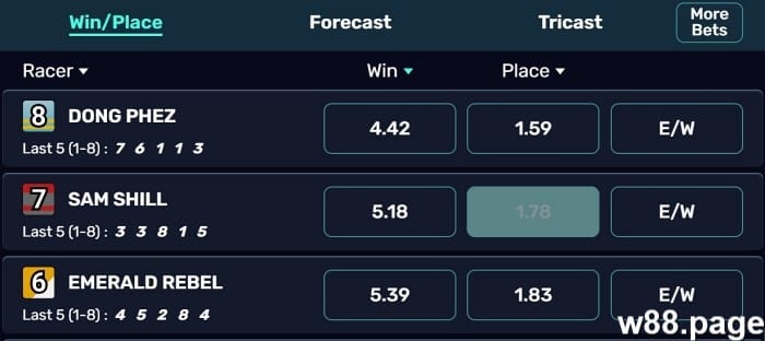 horse race betting payouts with bonus tips